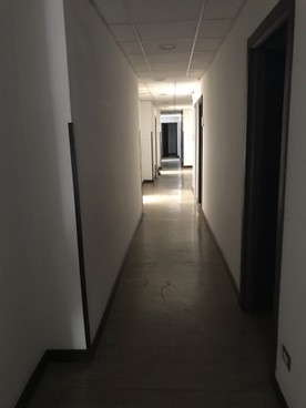 IMG_1438.JPEG